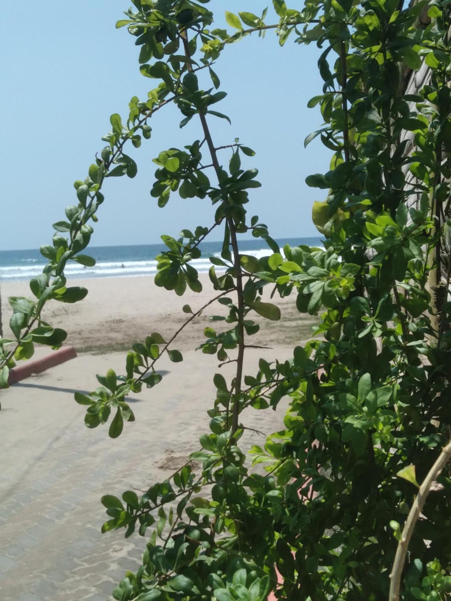 Hostal Casa Taisha Montañita 外观 照片