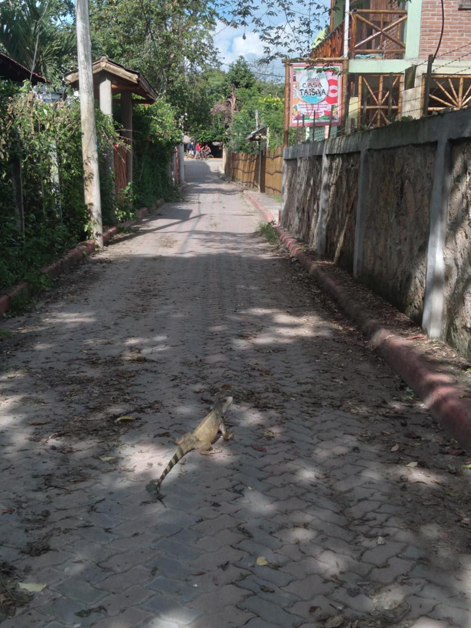 Hostal Casa Taisha Montañita 外观 照片